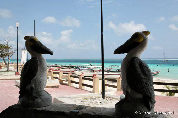 Face-to-face falschen Pelikane, Puerto Morelos - Mexiko