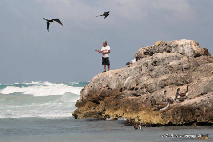 Die Fischer, Fregatten und Pelikane, Tulum - Mexiko