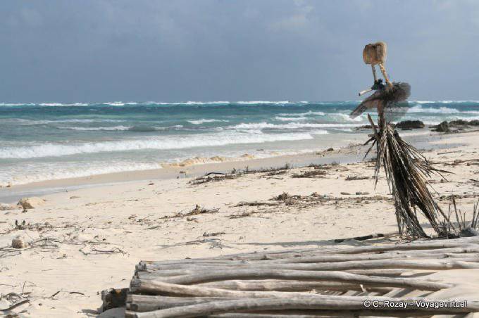 Blonde Matte, Skulpturen aus Naturmaterialien, Tulum Strand - Mexiko