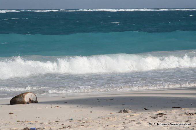 Caraible Farbe auf dem menschenleeren Strand, Tulum - Mexiko