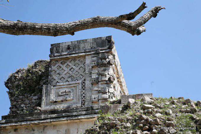 Der Baum und der Tempel, Uxmal - Mexiko
