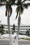 Statue zwischen Palmen, Avenida Adolfo Cortines Campeche, Mexiko.
