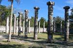 Garten innerhalb des Marktes, Grupo Las Mil Columnas Chichen Itza, Mexiko.