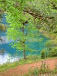 Harmonie der Farben, Laguna Azul, Lagunas de Montebello, Mexiko.
