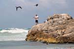 Die Fischer, Fregatten und Pelikane, Tulum, Mexiko.