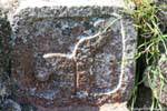Elephant Skulptur, Gouverneurspalast, Uxmal, Mexiko.