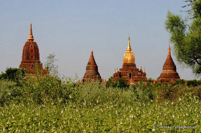Tempel und Stupas auf der Ananda, Bagan - Myanmar (Birma)
