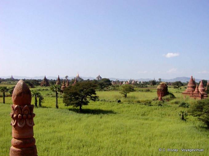 Stupas in das grüne Gras, Bagan - Myanmar (Birma)