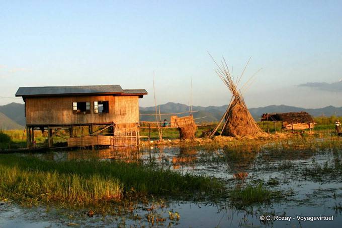 Ein Bauernhof auf Stelzen in der Cham ethnischen Gruppe gebaut, Inle-See - Myanmar (Birma)