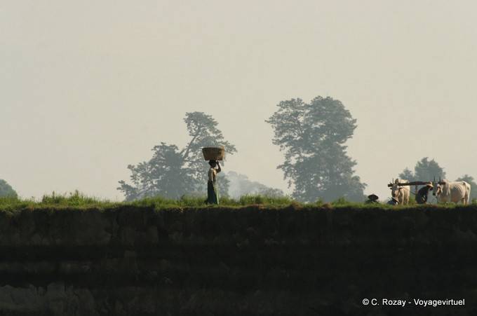 Landleben am Ufer des Irrawaddy, Mandalay - Myanmar (Birma)