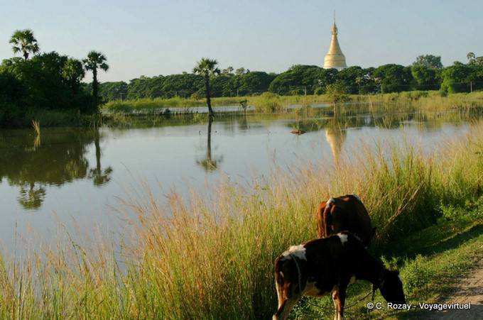 Reflections Stupa und Pagode Ławka Tharahpu, Ava, Mandalay - Myanmar (Birma)