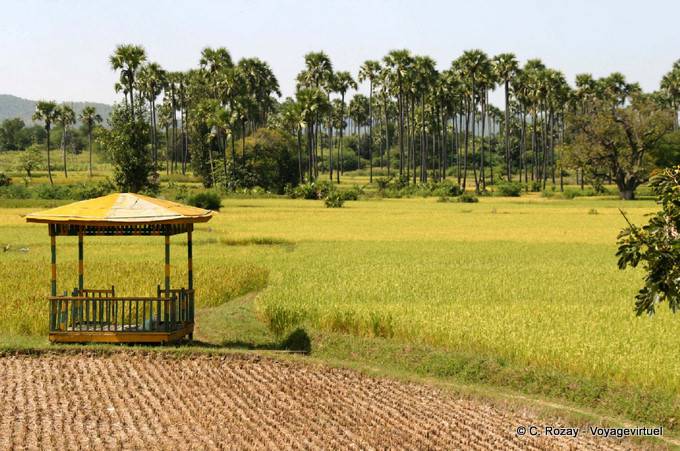 Bagan Landschaft auf dem Weg, Kalaw - Myanmar (Birma)