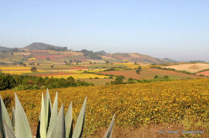 Farbe Landschaft um Pindaya - Myanmar (Birma)
