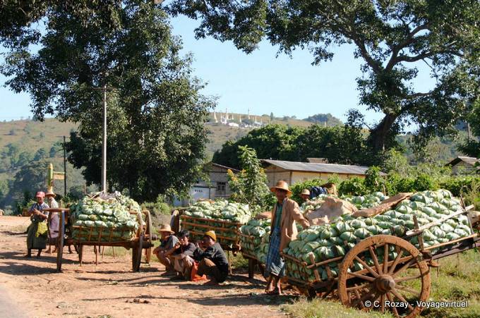Schubkarren Sprossen zu verkaufen, um Pindaya - Myanmar (Birma)