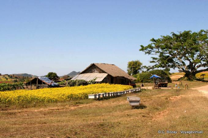 Birmanischen Bauernhof Pindaya - Myanmar (Birma)