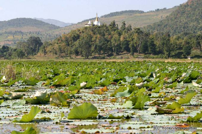 Seenlandschaft südlich des Lake Inle, Sagar - Myanmar (Birma)