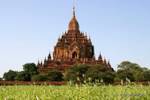 Panorama auf Sulamani Tempel, Bagan, Birma.