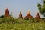 Tempel und Stupas auf der Ananda, Bagan, Birma.