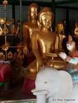 Buddha weibliches Gesicht, Bagan, Birma.