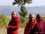 Alte birmanischen Mönche in rubinrot, Inle-See, Birma.