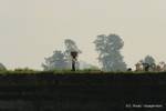 Landleben am Ufer des Irrawaddy, Mandalay, Birma.