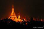 Shwedagon-Pagode in der Nacht beleuchtet, Rangun, Birma.
