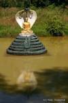Buddhistische Statue geschützt und von einer Naga in der königlichen Kandawgyi See, Yangon, Birma.