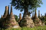 Baum wächst auf einem Stupa, Sagar, Birma.
