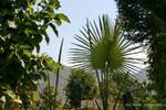 Rund Taungto Village, Sagar, Birma.