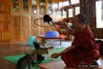 Monk Trainer springenden Katzen Nga Phe Chaung Kloster, Inle-See, Sagar, Birma.