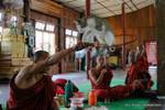 Katze springt durch einen Reifen, Nga Phe Chaung Kloster, Inle-See, Sagar, Birma.