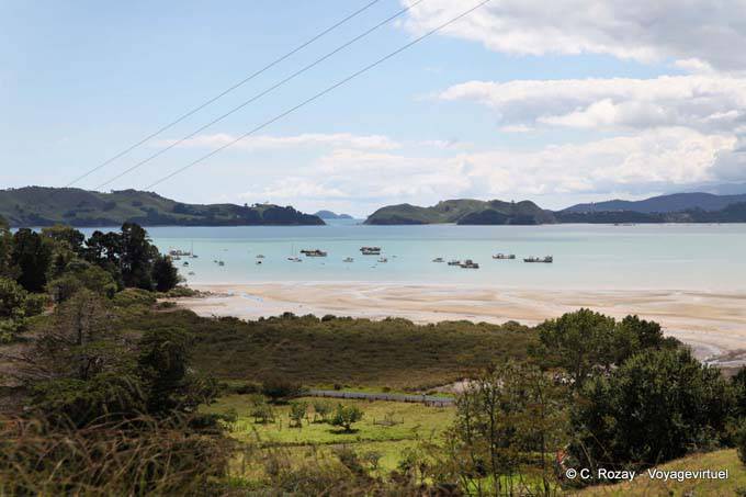 Bucht von Farben, Coromandel - Neuseeland