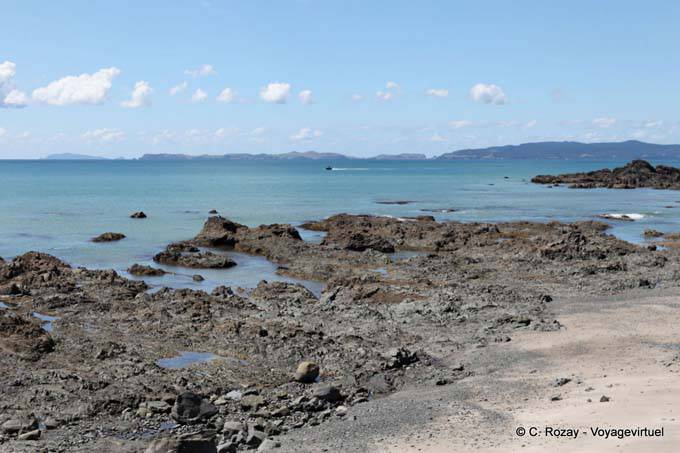 Lava Zunge, Coromandel - Neuseeland