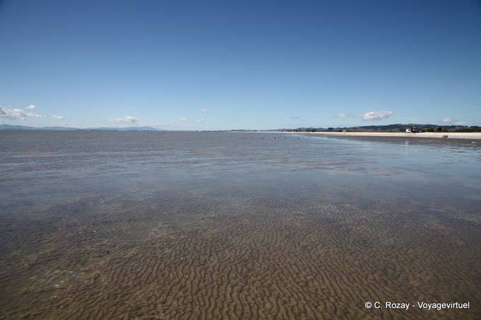 Endlosen Strand, Miranda - Neuseeland