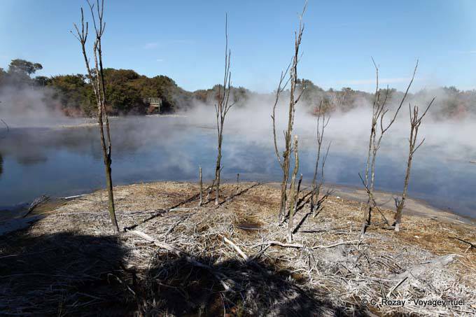 Vulkanische Verwüstung Kuirau Park, Rotorua - Neuseeland