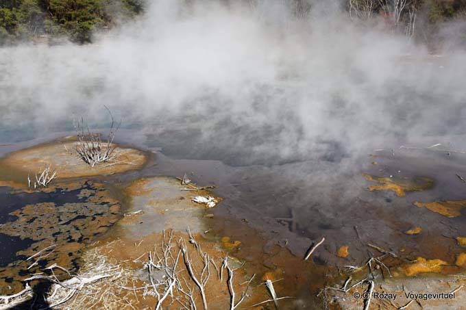 Erde atmen Dampf, Kuirau Park, Rotorua - Neuseeland