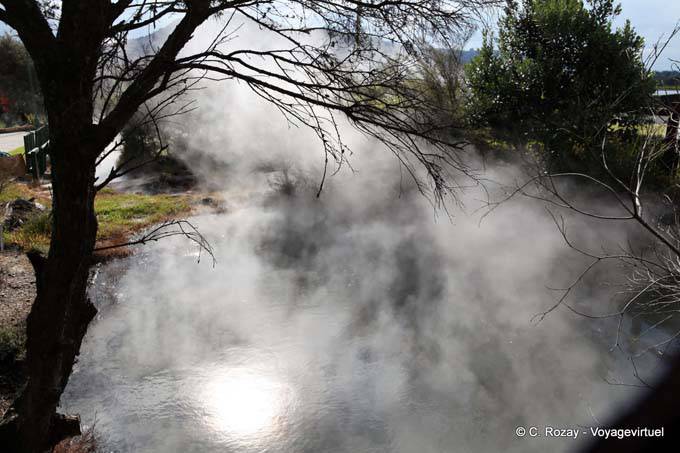 Fumarolen, Tamatekapua, Rotorua - Neuseeland
