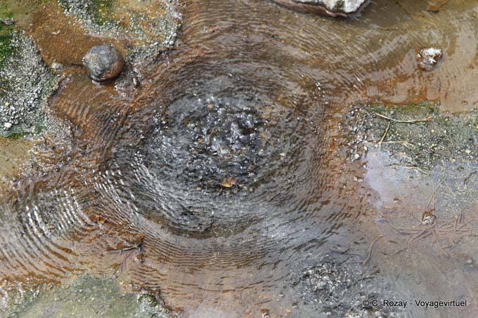 Heiße Quelle und Siliziumdioxid Ablagerungen, Waimangu Volcanic Valley, Rotorua - Neuseeland