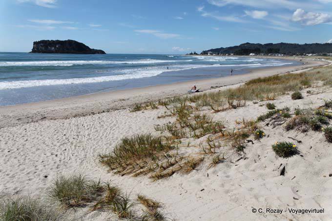 Panorama auf Whangamata Beach Surf - Neuseeland