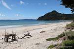 Strandlandschaft und Wald, Coromandel, Neuseeland.