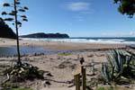 Hahei Hot Water Beach, Coromandel, Neuseeland.