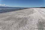Strand mit Muscheln, Miranda, Neuseeland.