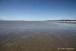 Endlosen Strand, Miranda, Neuseeland.