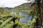 Green Lake, Rotorua, Neuseeland.