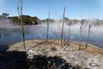 Vulkanische Verwüstung Kuirau Park, Rotorua, Neuseeland.