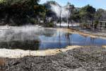 Geothermische Aktivität, Kuirau Park, Rotorua, Neuseeland.