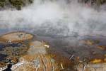 Erde atmen Dampf, Kuirau Park, Rotorua, Neuseeland.