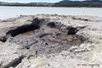 Sulphur Point, Volcanic See, Rotorua, Neuseeland.