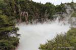 See Inferno-Krater, Waimangu Volcanic Valley, Rotorua, Neuseeland.
