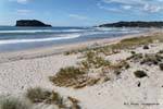 Panorama auf Whangamata Beach Surf, Neuseeland.
